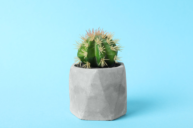 Beautiful artificial plant in flower pot on light blue background