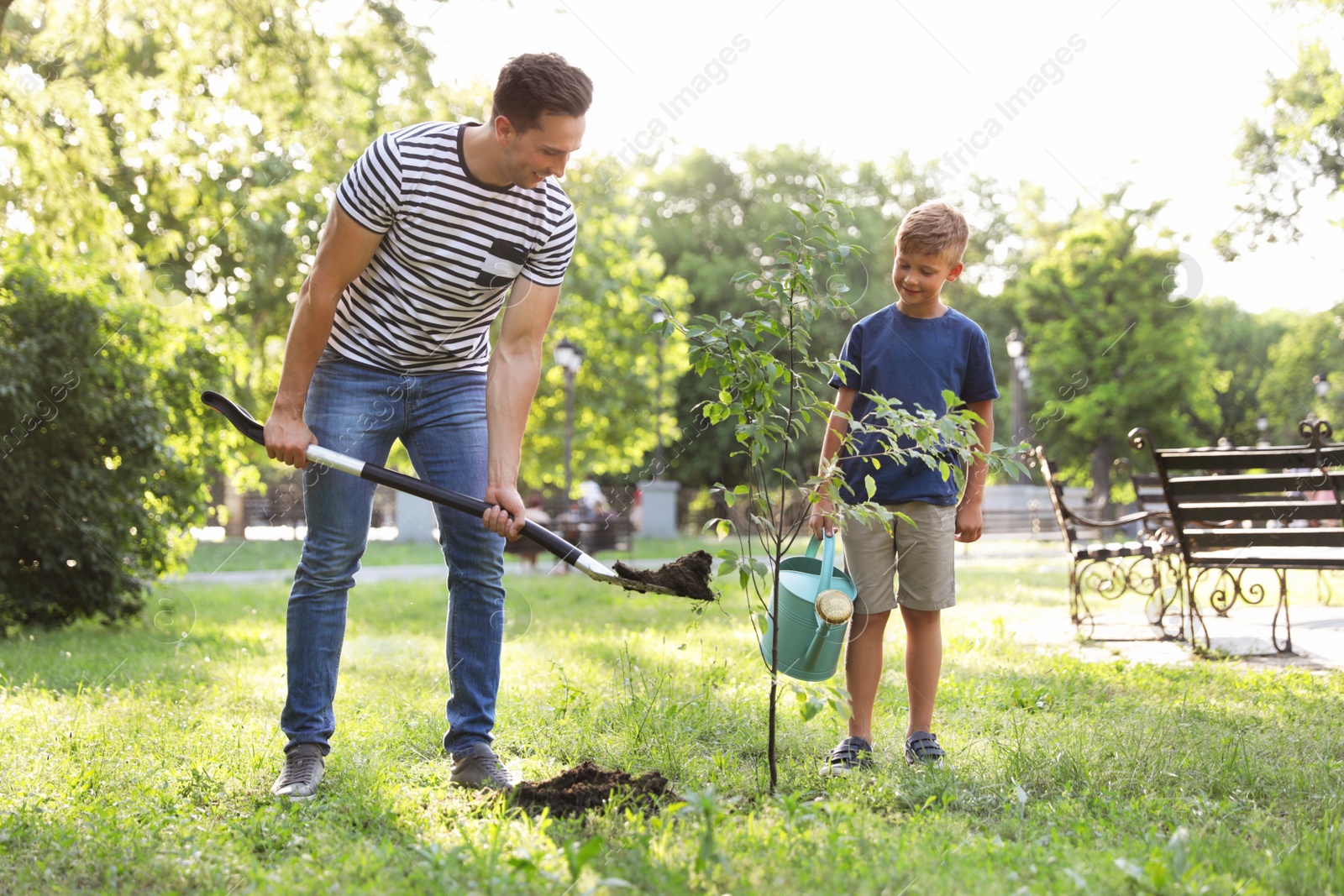 Photo of Dad and son planting tree in park on sunny day