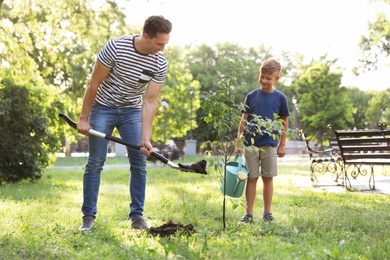 Photo of Dad and son planting tree in park on sunny day