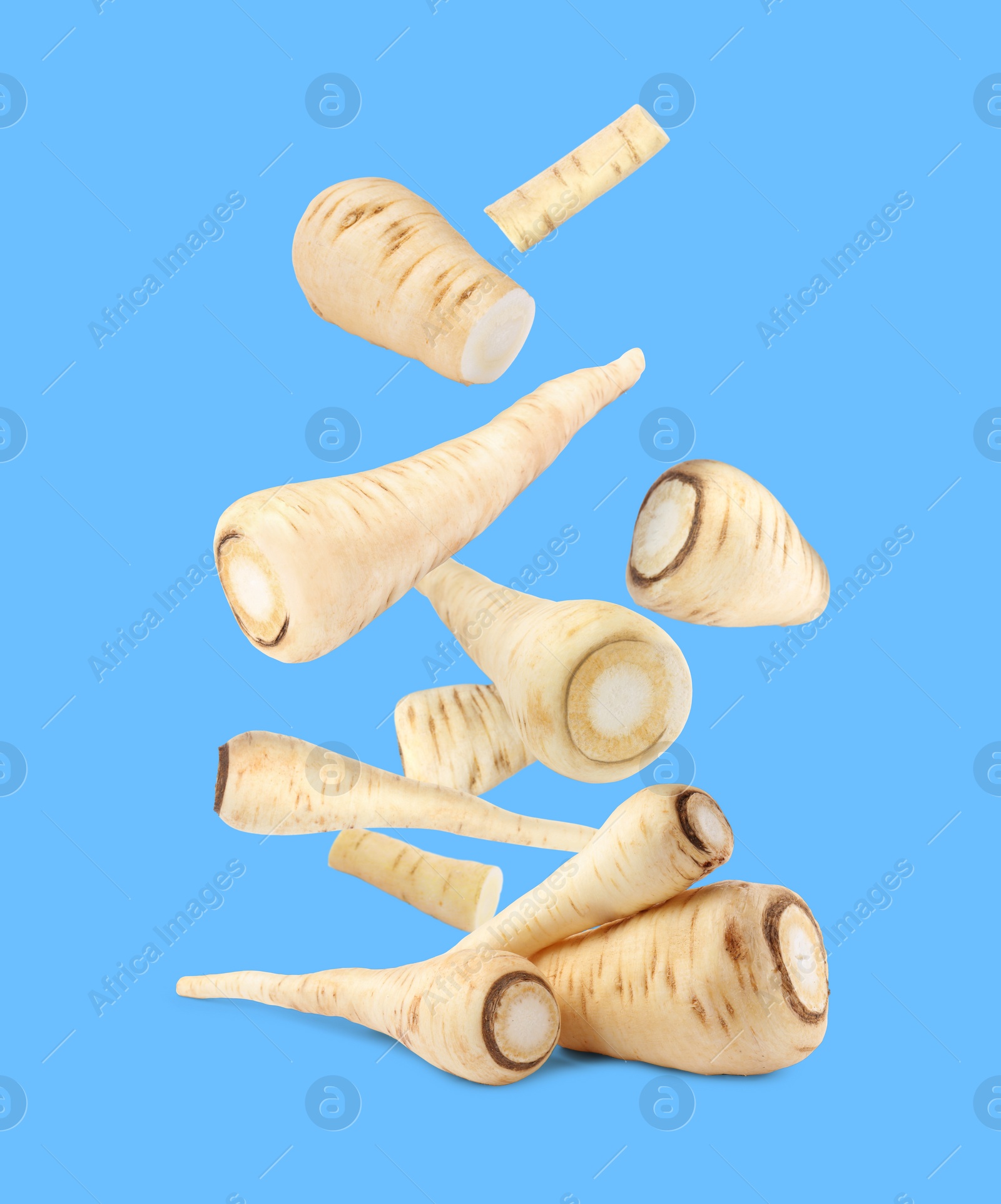 Image of Raw parsnip roots falling into pile on light blue background