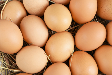 Photo of Raw chicken eggs on decorative straw, top view