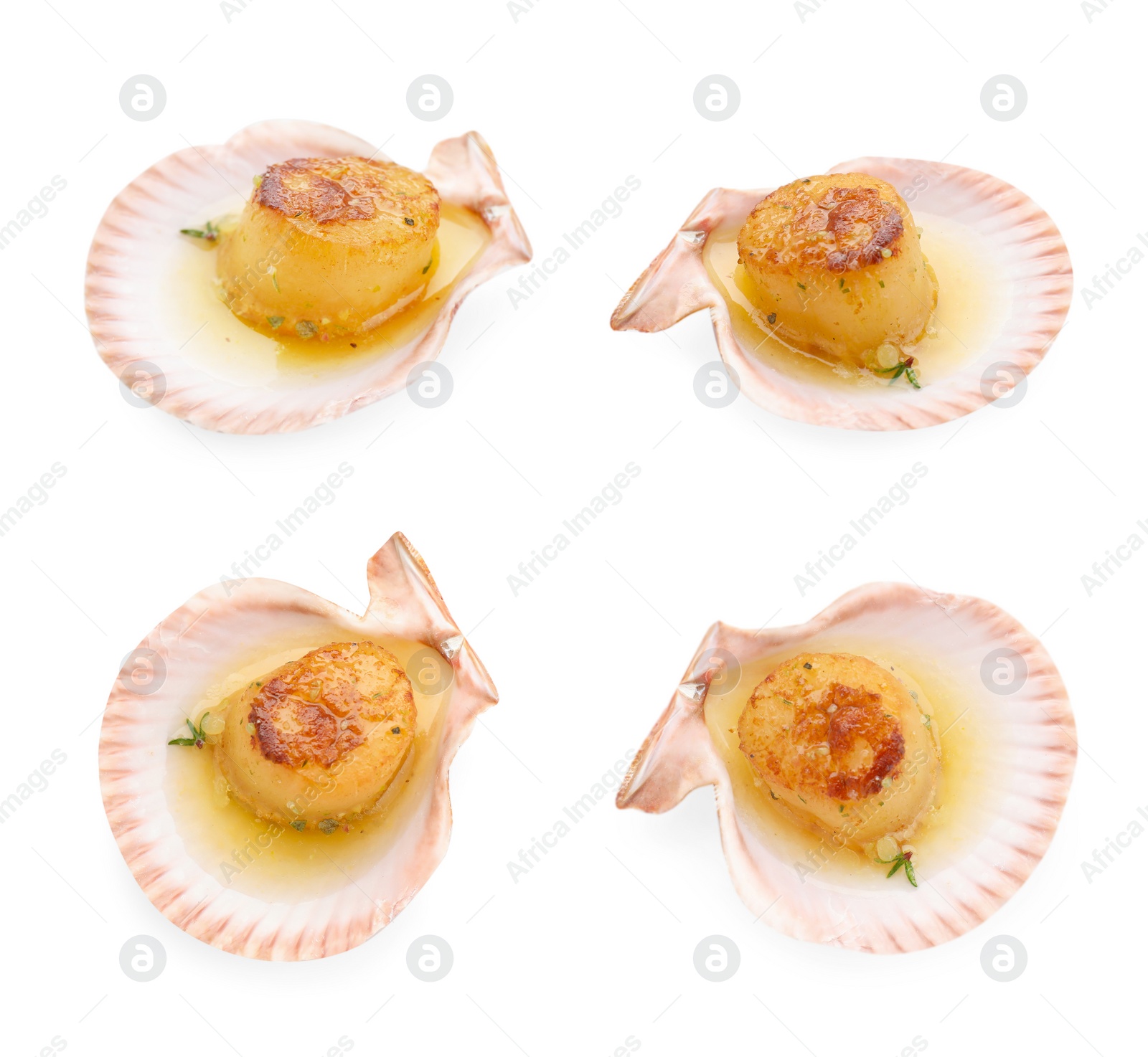 Image of Delicious fried scallops in shells isolated on white, top and side views