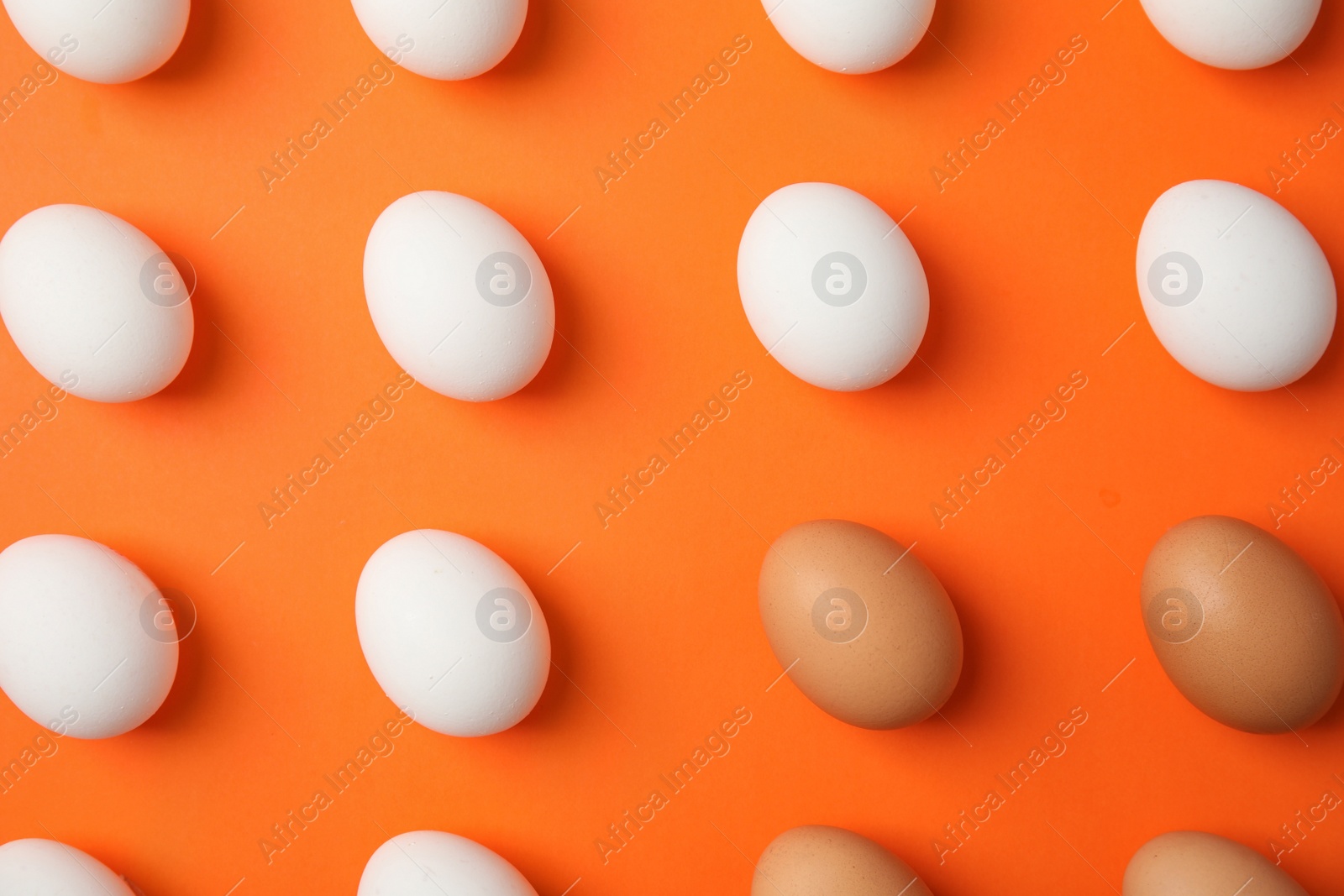 Photo of Raw chicken eggs on color background, top view