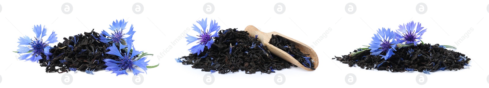 Image of Set with dried cornflower tea and fresh flowers on white background. Banner design