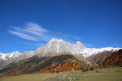 Picturesque view of beautiful high mountains under blue sky on sunny day