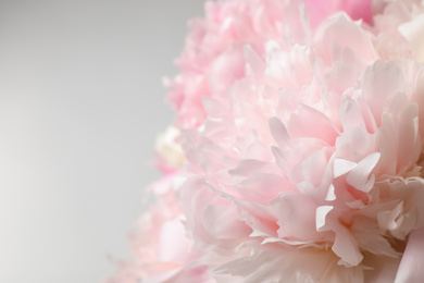 Photo of Beautiful peony bouquet on light background, closeup