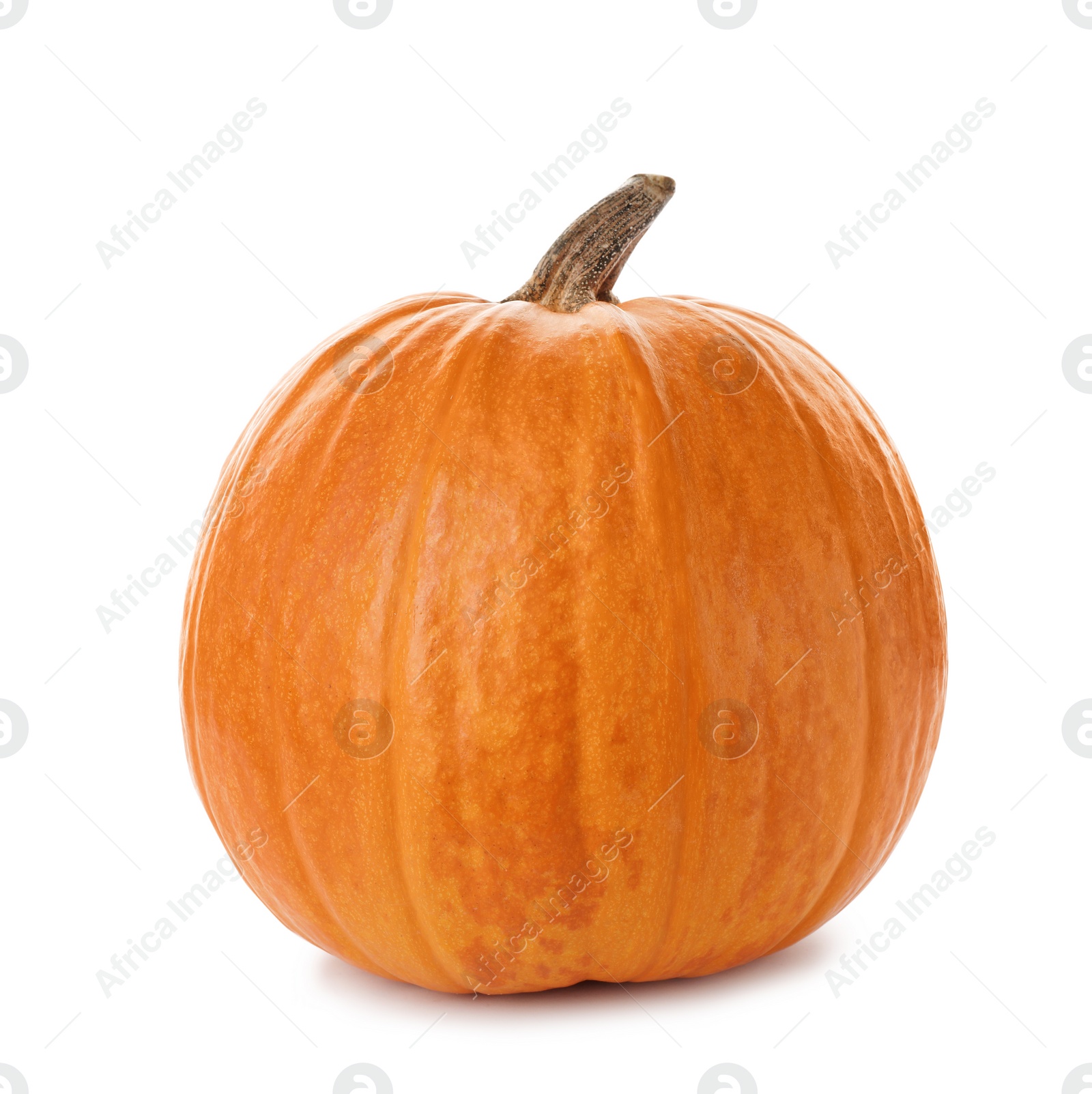 Photo of Fresh raw pumpkin isolated on white. Organic plant