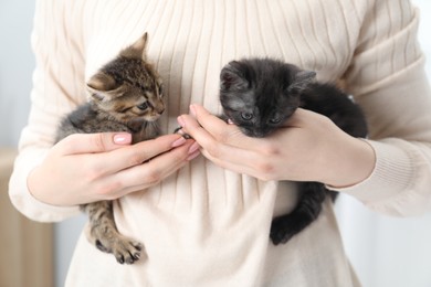 Photo of Woman with cute fluffy kittens indoors, closeup