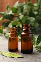 Bottles of bay essential oil and fresh leaves on light grey table