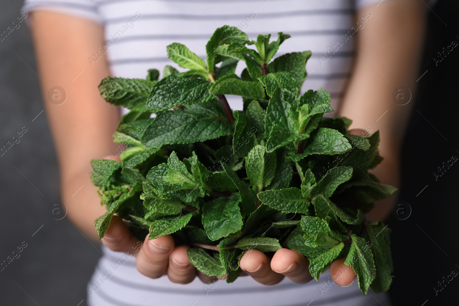 Photo of Young woman holding bunch of fresh mint, closeup