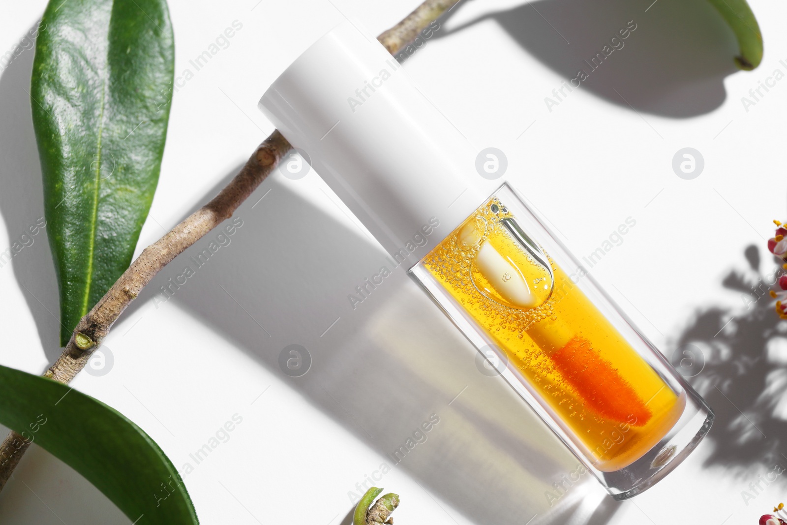 Photo of Orange lip gloss and branch on white background, closeup