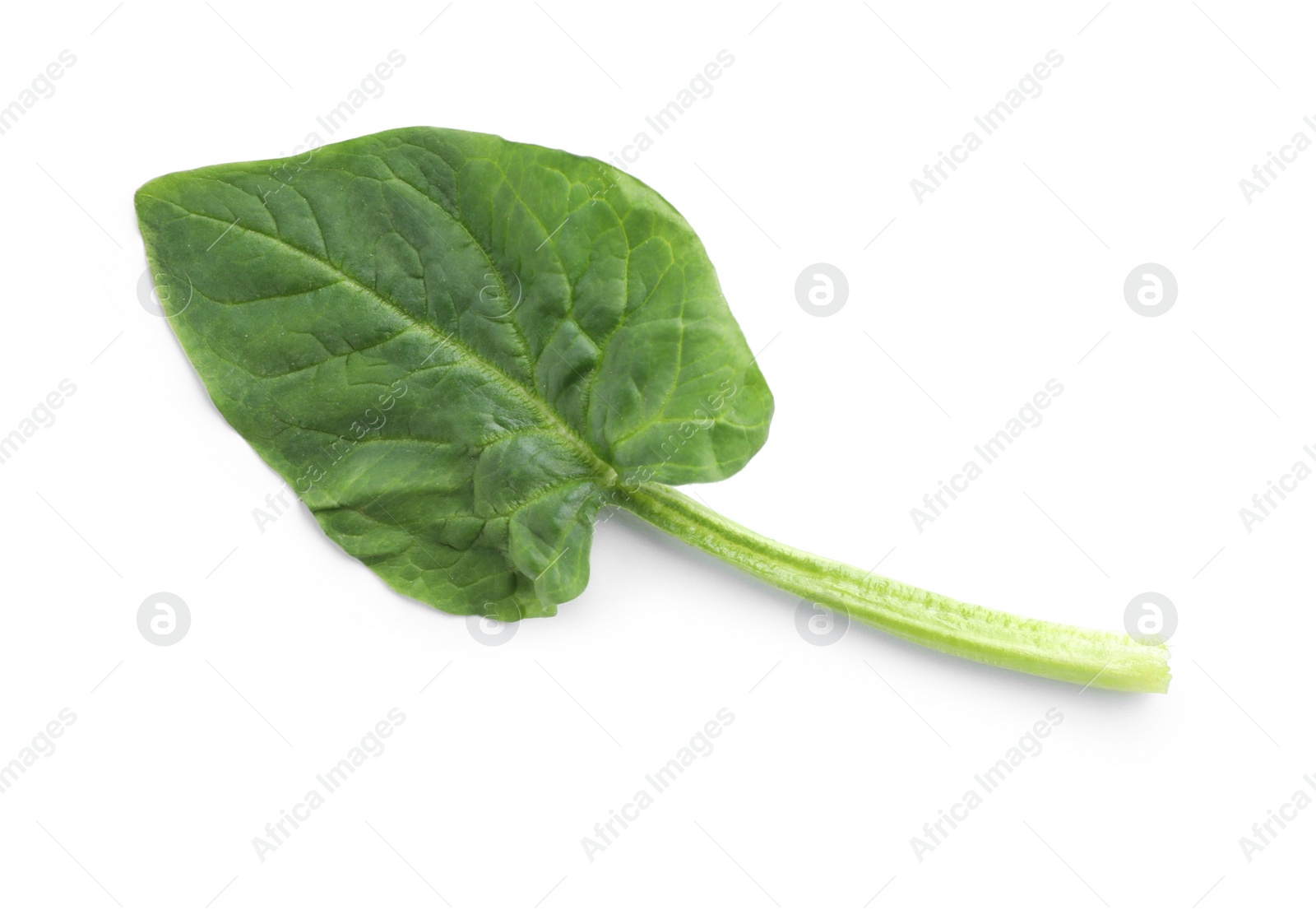 Photo of Fresh leaf of spinach isolated on white, top view