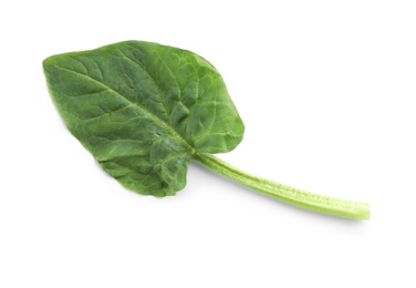 Fresh leaf of spinach isolated on white, top view