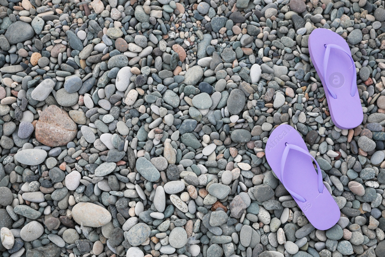 Photo of Stylish violet flip flops on pebble seashore, top view. Space for text