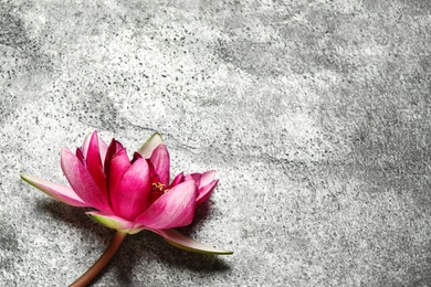 Photo of Beautiful blooming pink lotus flower on grey background, top view. Space for text