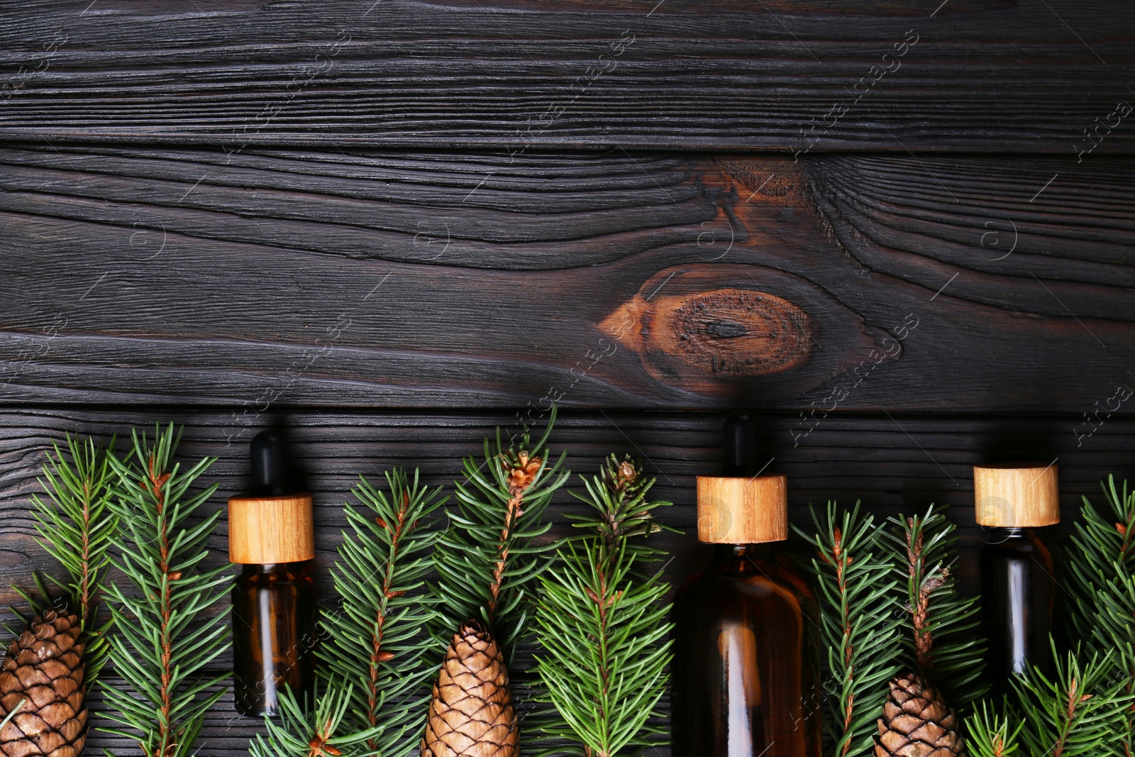 Photo of Bottles of aromatic essential oil, pine branches and cones on wooden table, flat lay. Space for text