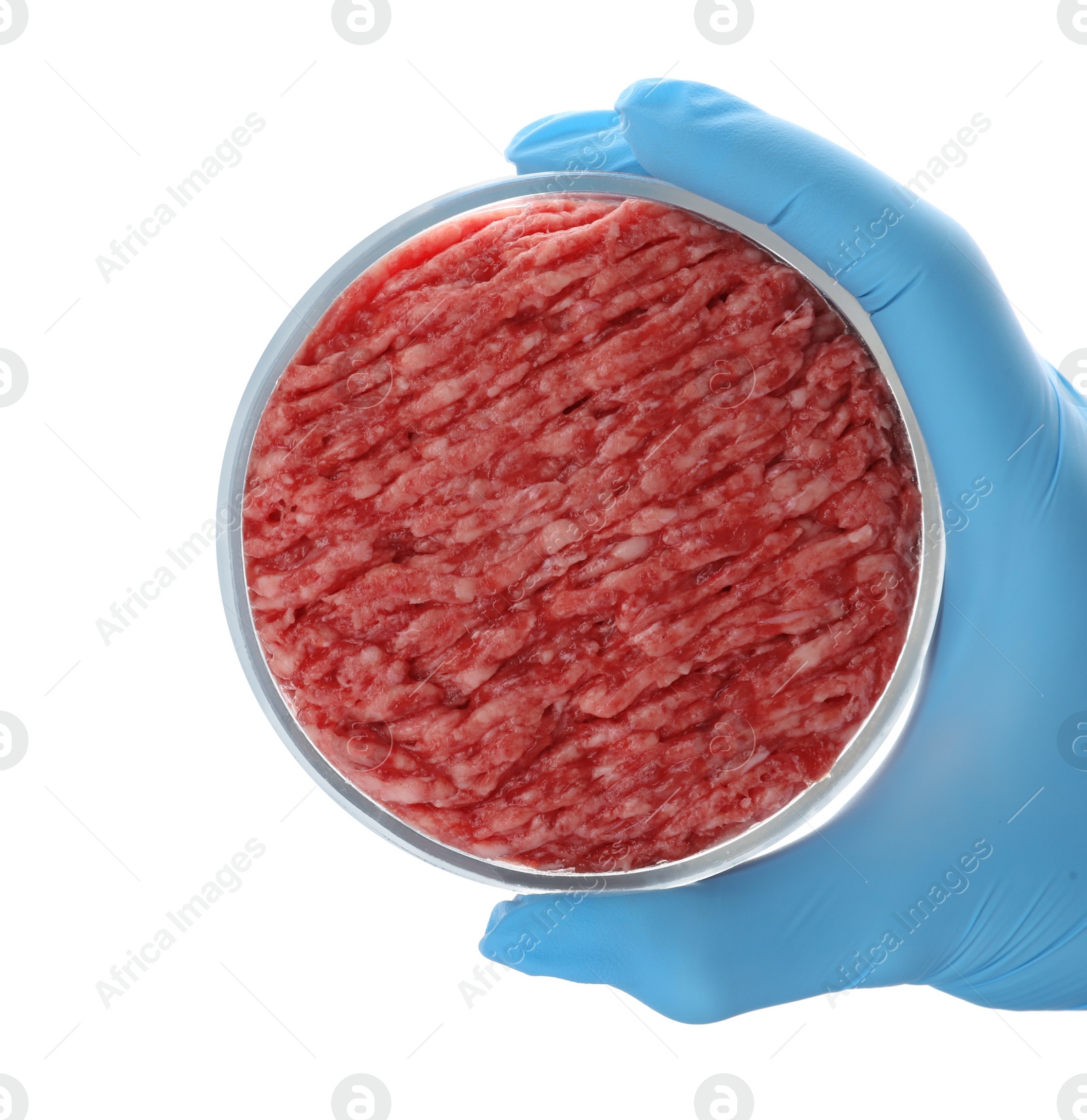 Photo of Scientist holding Petri dish with raw minced cultured meat on white background, top view