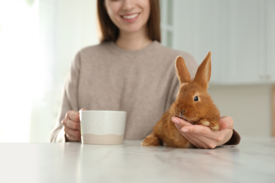 Young woman with cup of coffee and adorable rabbit at table indoors, closeup. Lovely pet