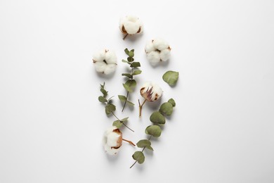 Photo of Fluffy cotton flowers and leaves on white background, flat lay