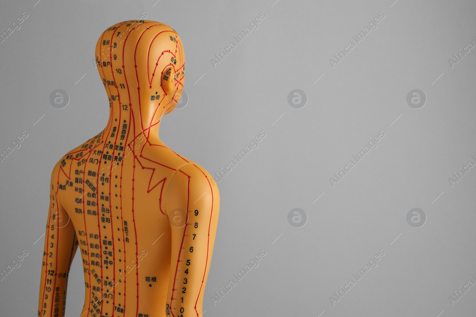 Photo of Acupuncture model. Mannequin with dots and lines on grey background, space for text