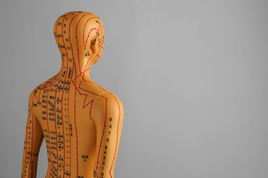 Photo of Acupuncture model. Mannequin with dots and lines on grey background, space for text