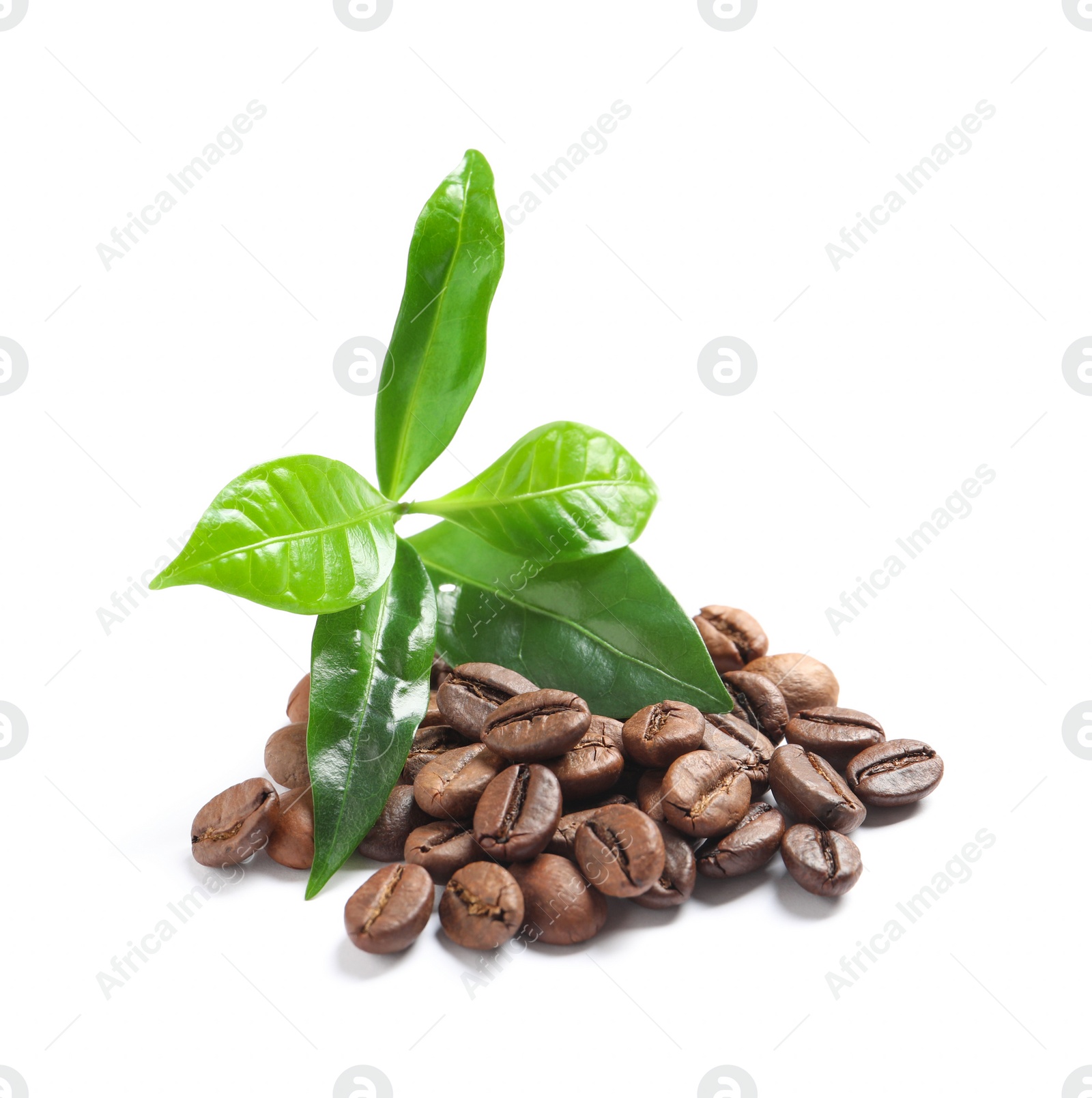 Photo of Fresh green leaves and pile of coffee beans isolated on white