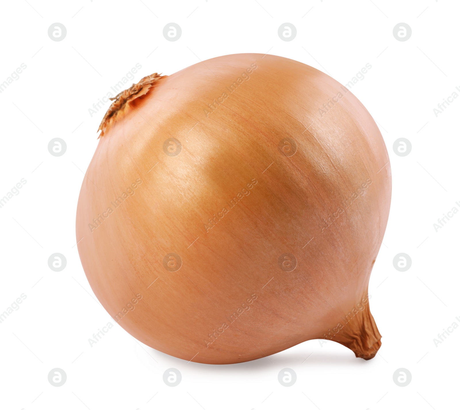 Photo of One yellow fresh onion isolated on white