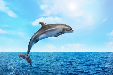 Image of Beautiful bottlenose dolphin jumping out of sea with clear blue water on sunny day 