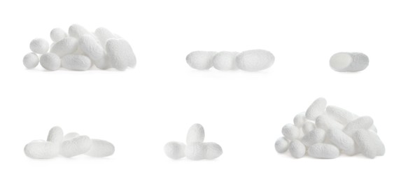 Set with natural silkworm cocoons on white background. Banner design