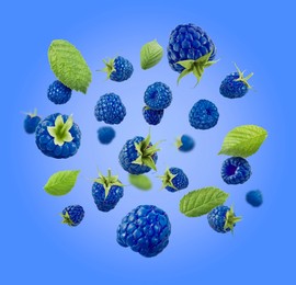 Image of Many fresh blue raspberries and green leaves falling on blue background