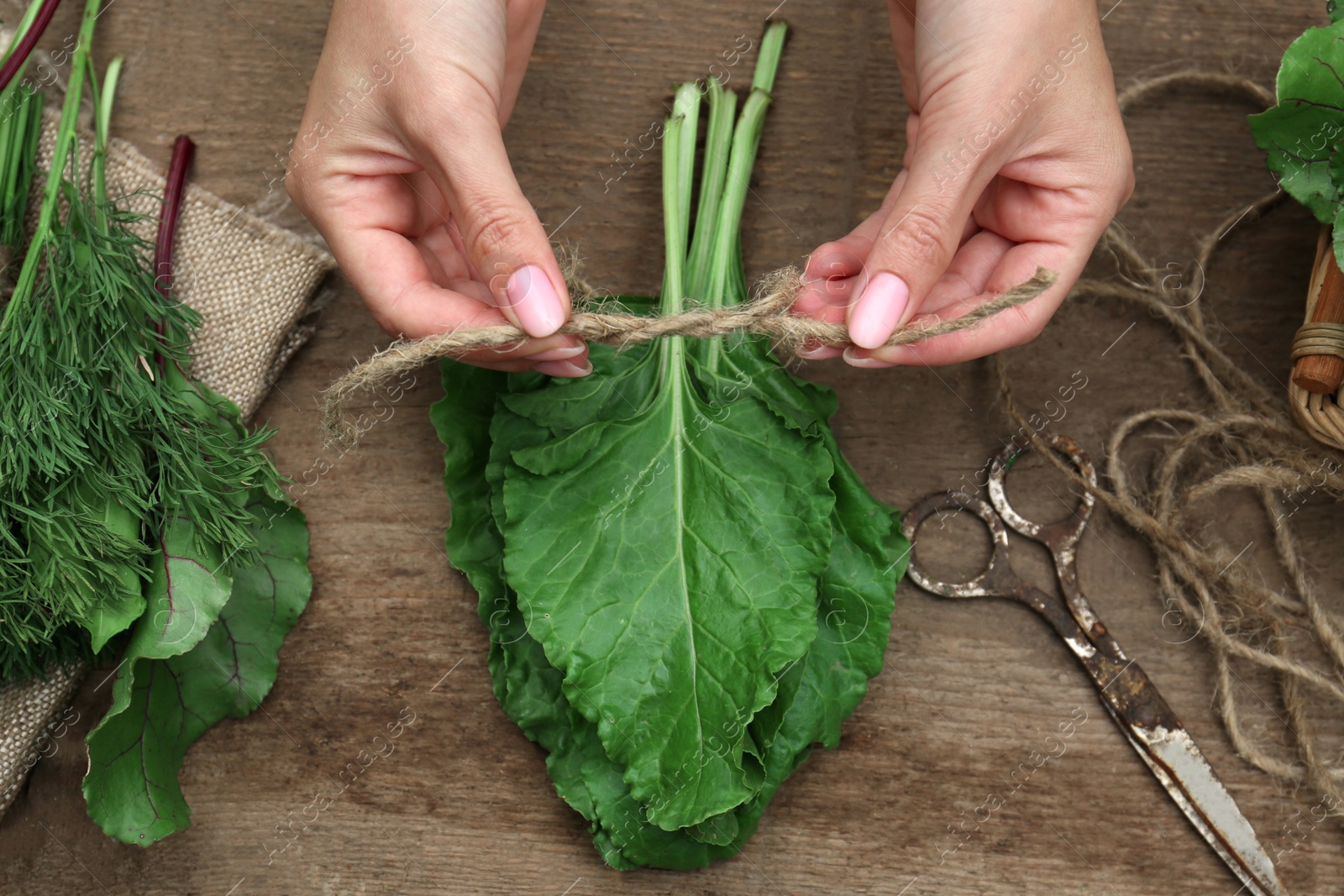 Photo of Woman tying bunch of fresh green leaves with twine at wooden table, top view. Drying herbs