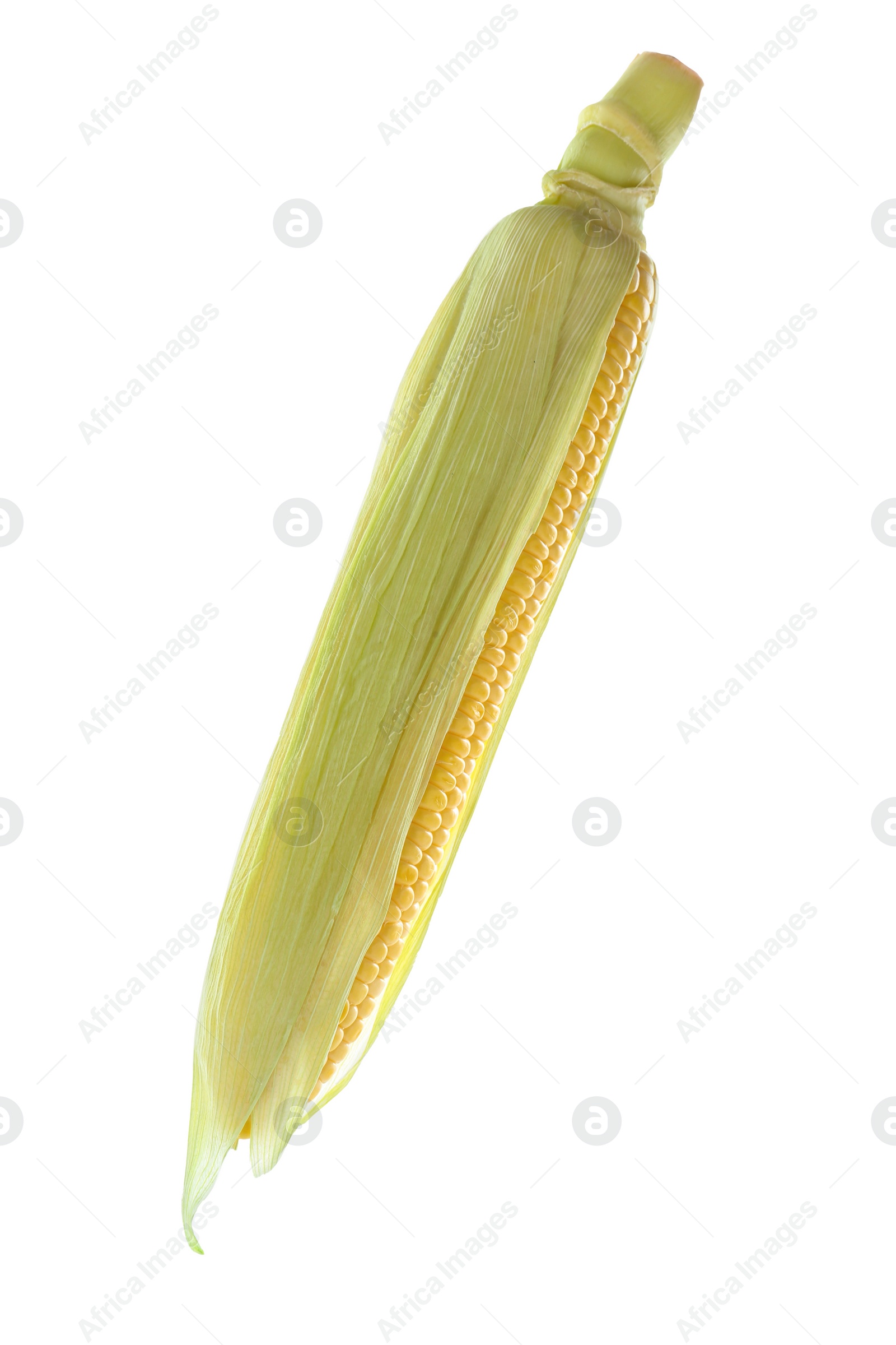 Photo of Tasty fresh corn cob isolated on white