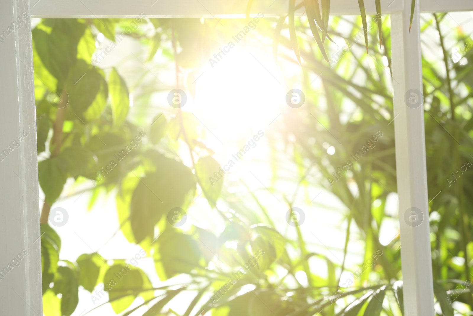 Photo of Blurred view through window on garden in morning