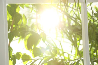 Photo of Blurred view through window on garden in morning