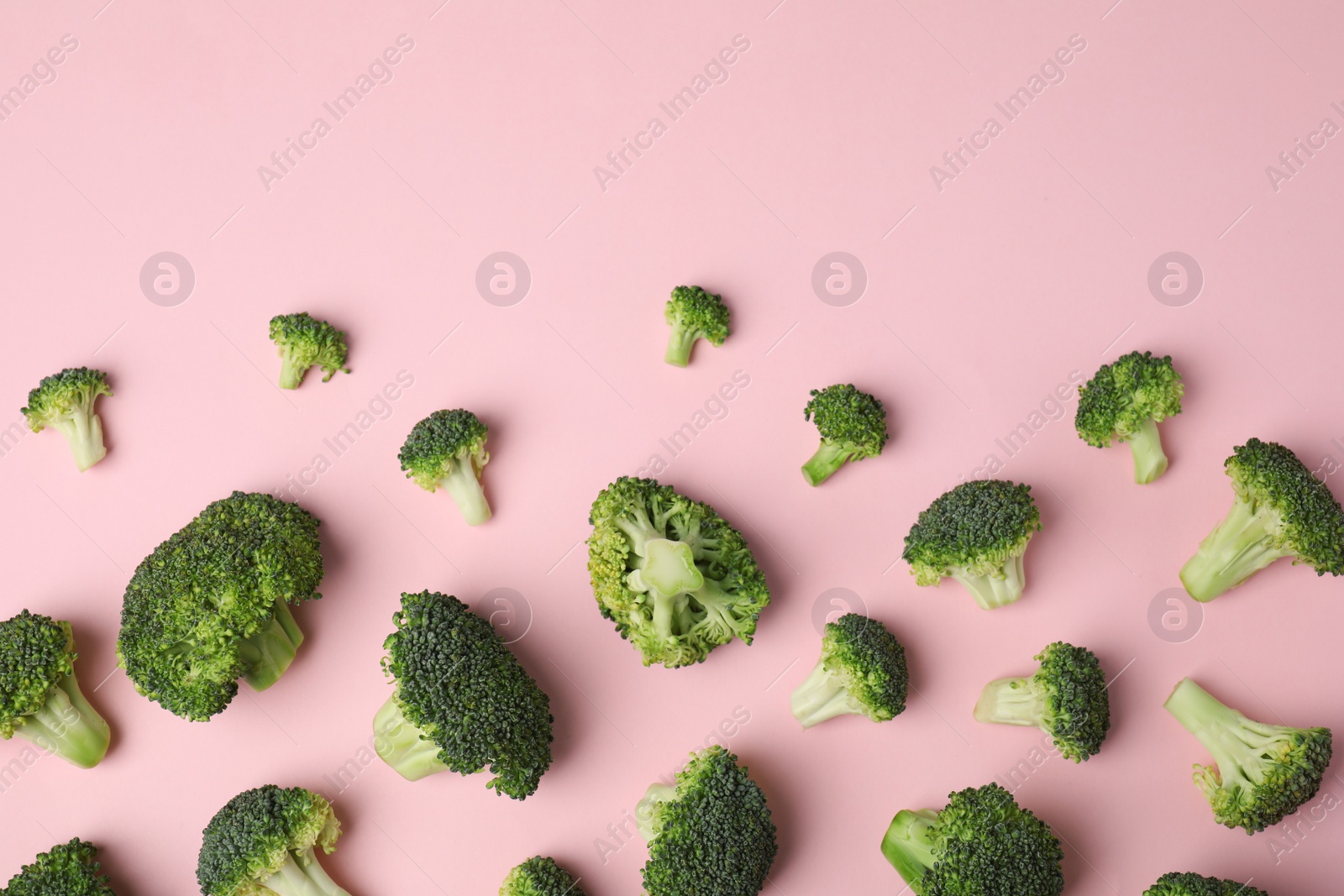 Photo of Flat lay composition with fresh green broccoli on color background