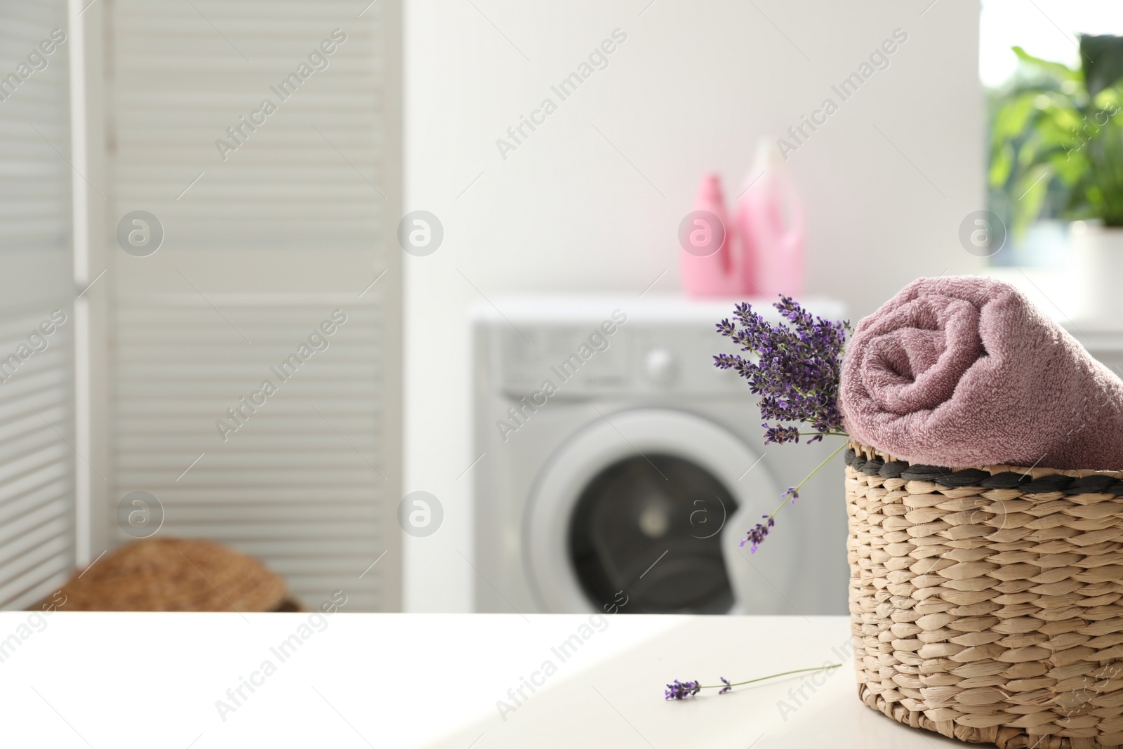 Photo of Wicker basket with rolled clean towel and lavender flowers on white table indoors. Space for text