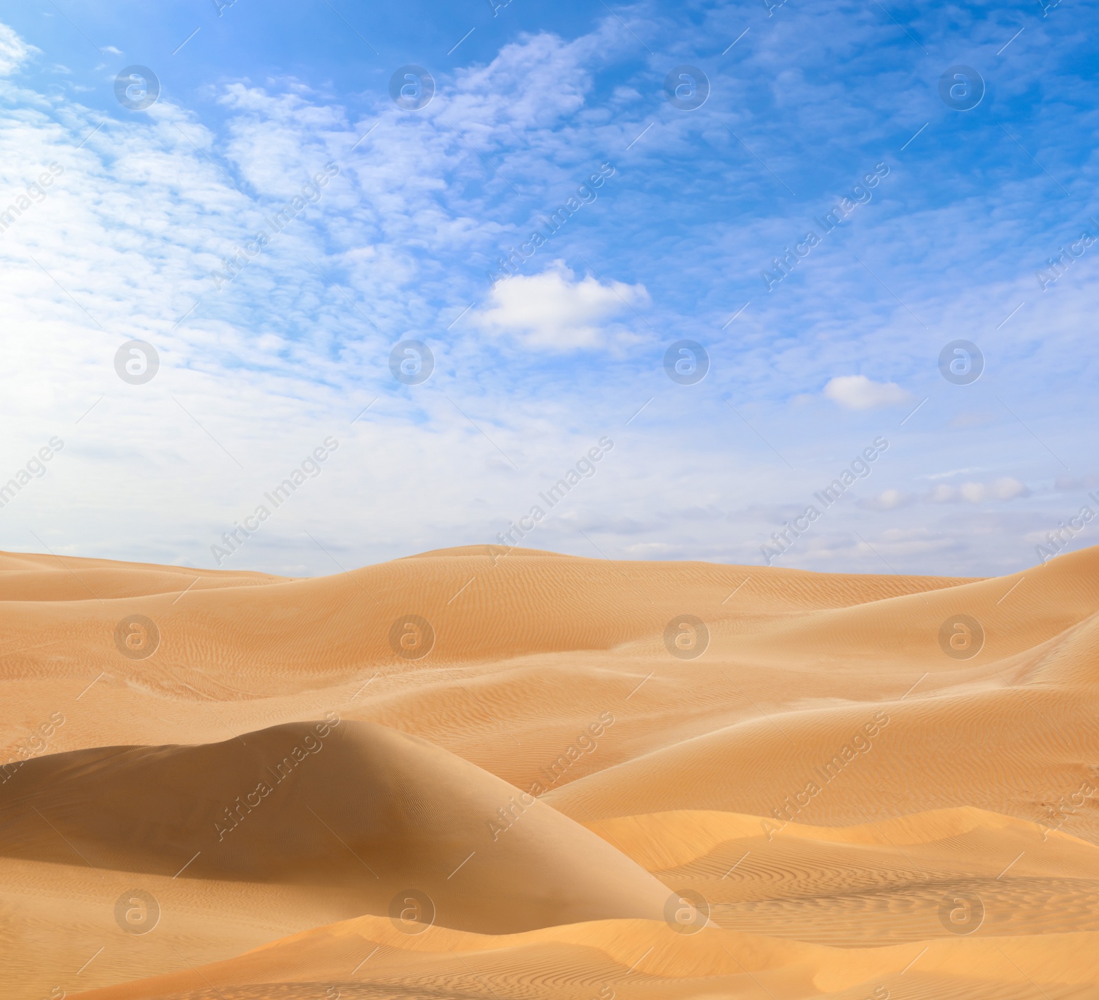 Image of Picturesque view of sandy desert and blue sky on hot sunny day 