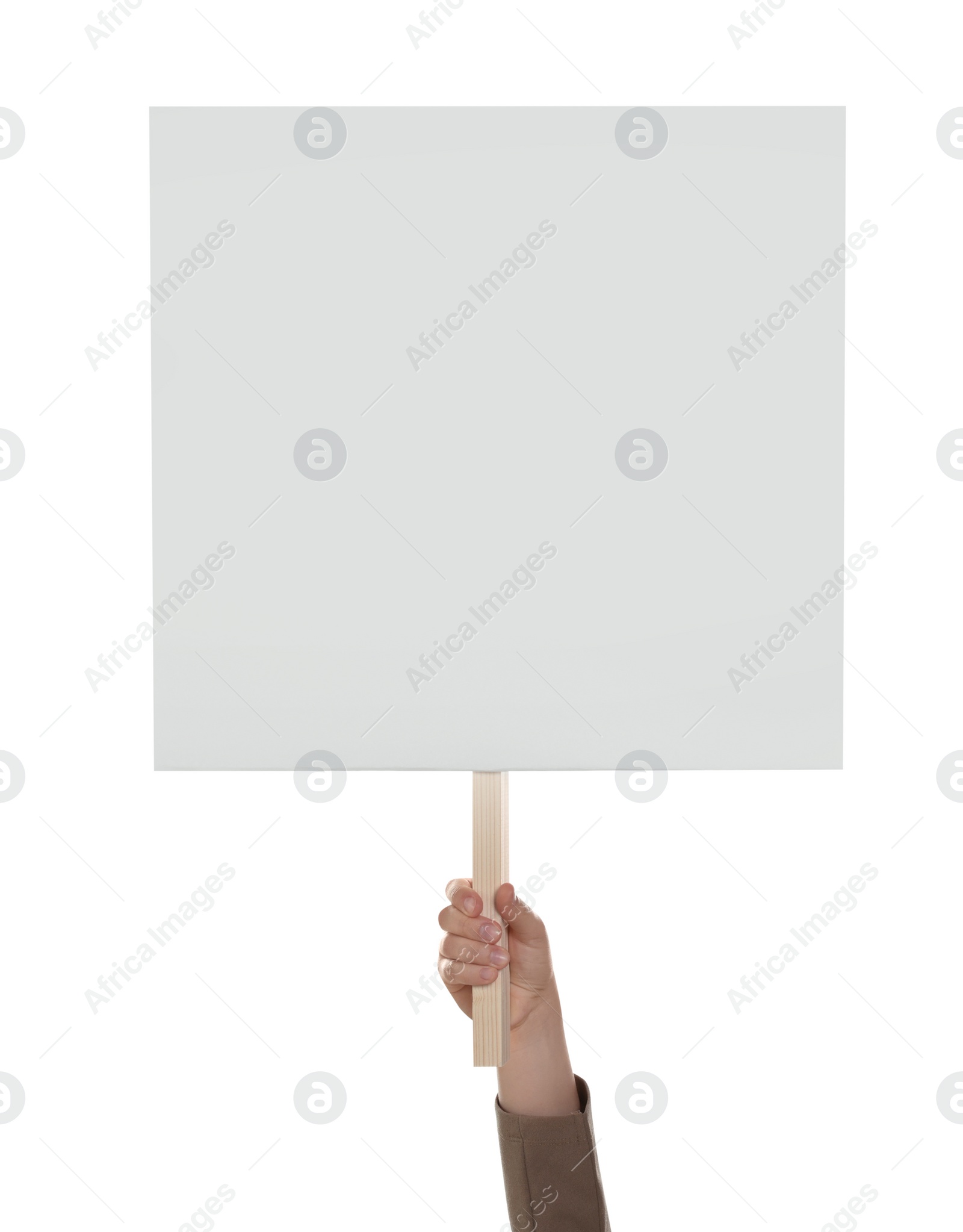 Photo of Woman holding blank protest sign on white background, closeup