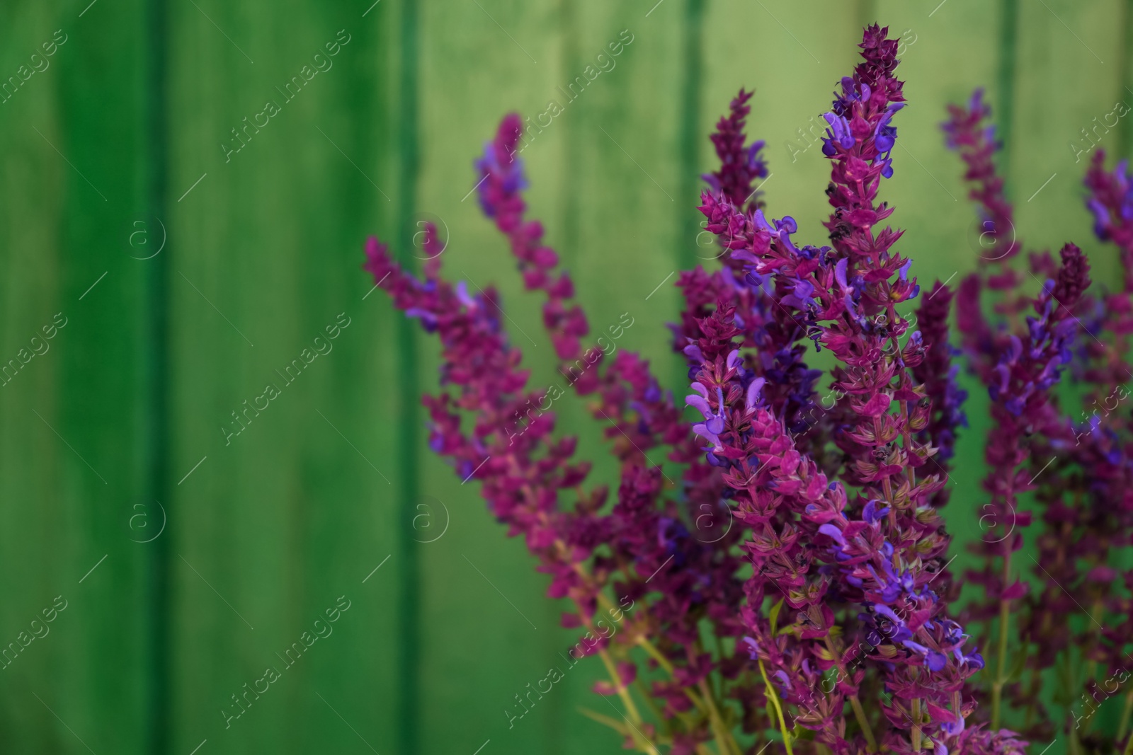 Photo of Beautiful bouquet with field flowers near green wooden wall, closeup. Space for text