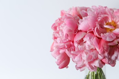 Beautiful bouquet of pink peonies in vase against white background, closeup. Space for text