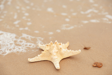 Photo of Beautiful starfish on sandy beach near sea