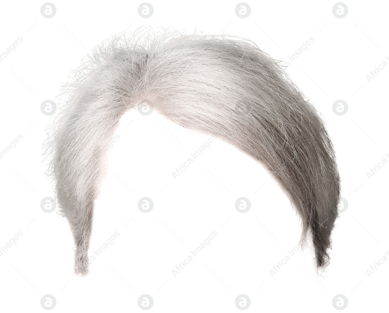 Image of Stylish male hairstyle with gray hair isolated on white