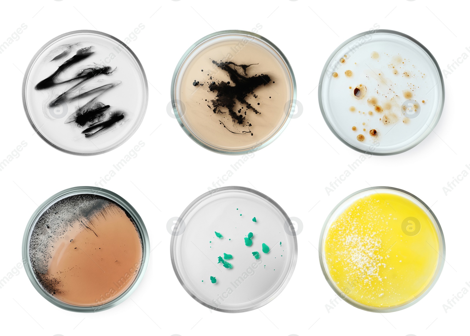 Image of Set of Petri dishes with different culture samples on white background, top view