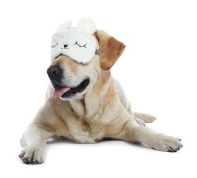 Photo of Cute Labrador Retriever with sleep mask resting on white background