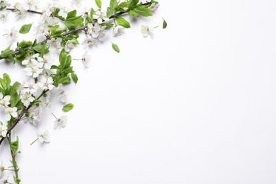 Photo of Cherry tree branches with beautiful blossoms on white background, flat lay. Space for text