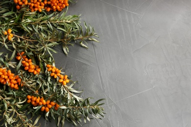 Photo of Branches of sea buckthorn on grey table, flat lay. Space for text