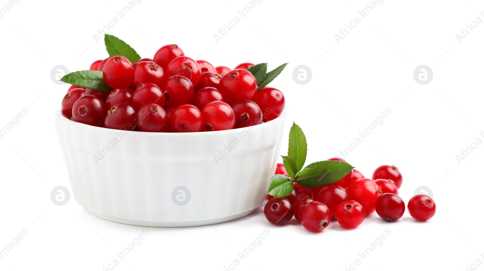 Photo of Fresh ripe cranberries with leaves on white background