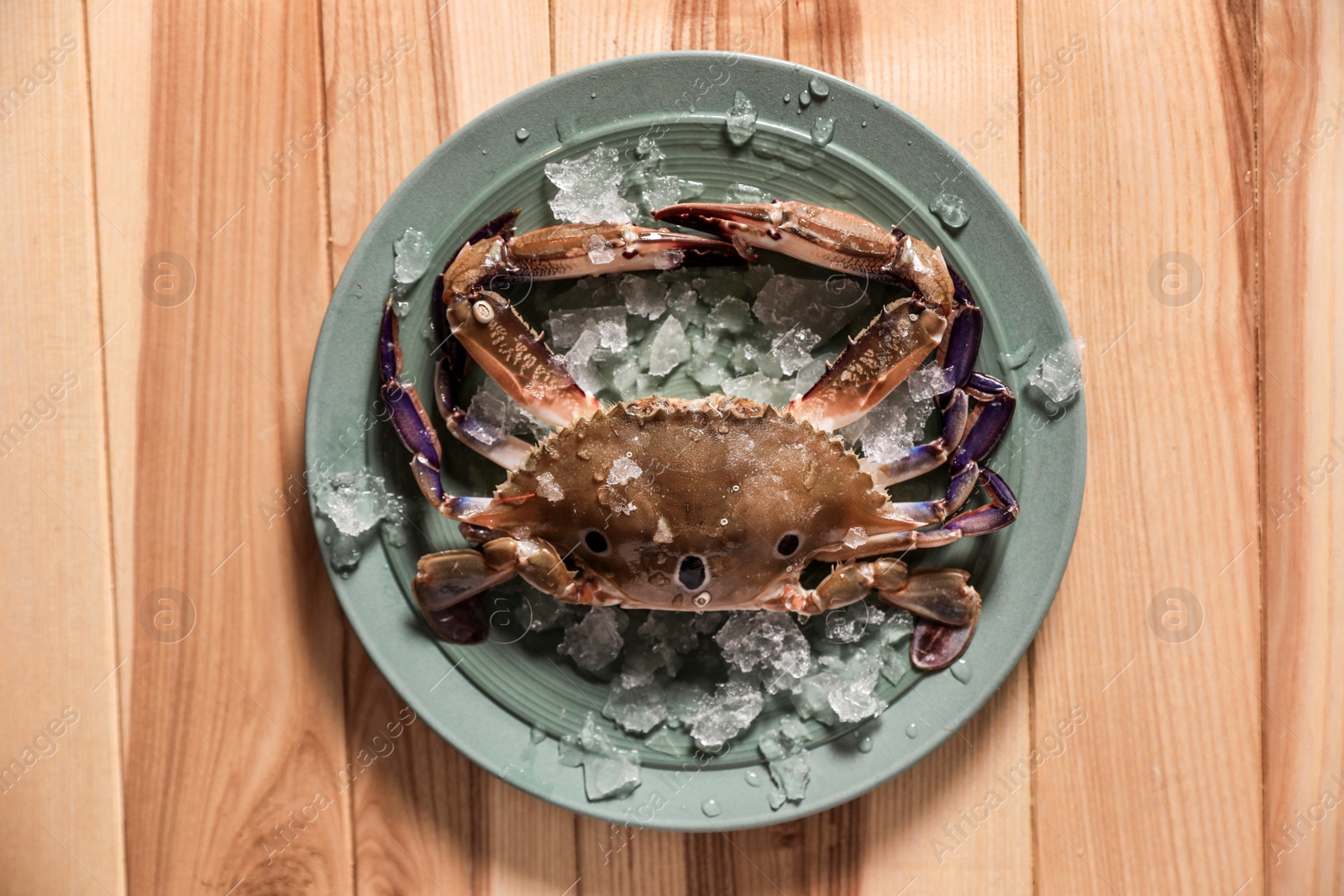Photo of Fresh swimming crab with ice on wooden table, top view