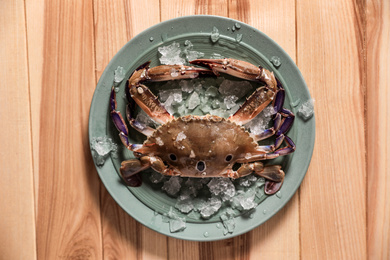 Photo of Fresh swimming crab with ice on wooden table, top view