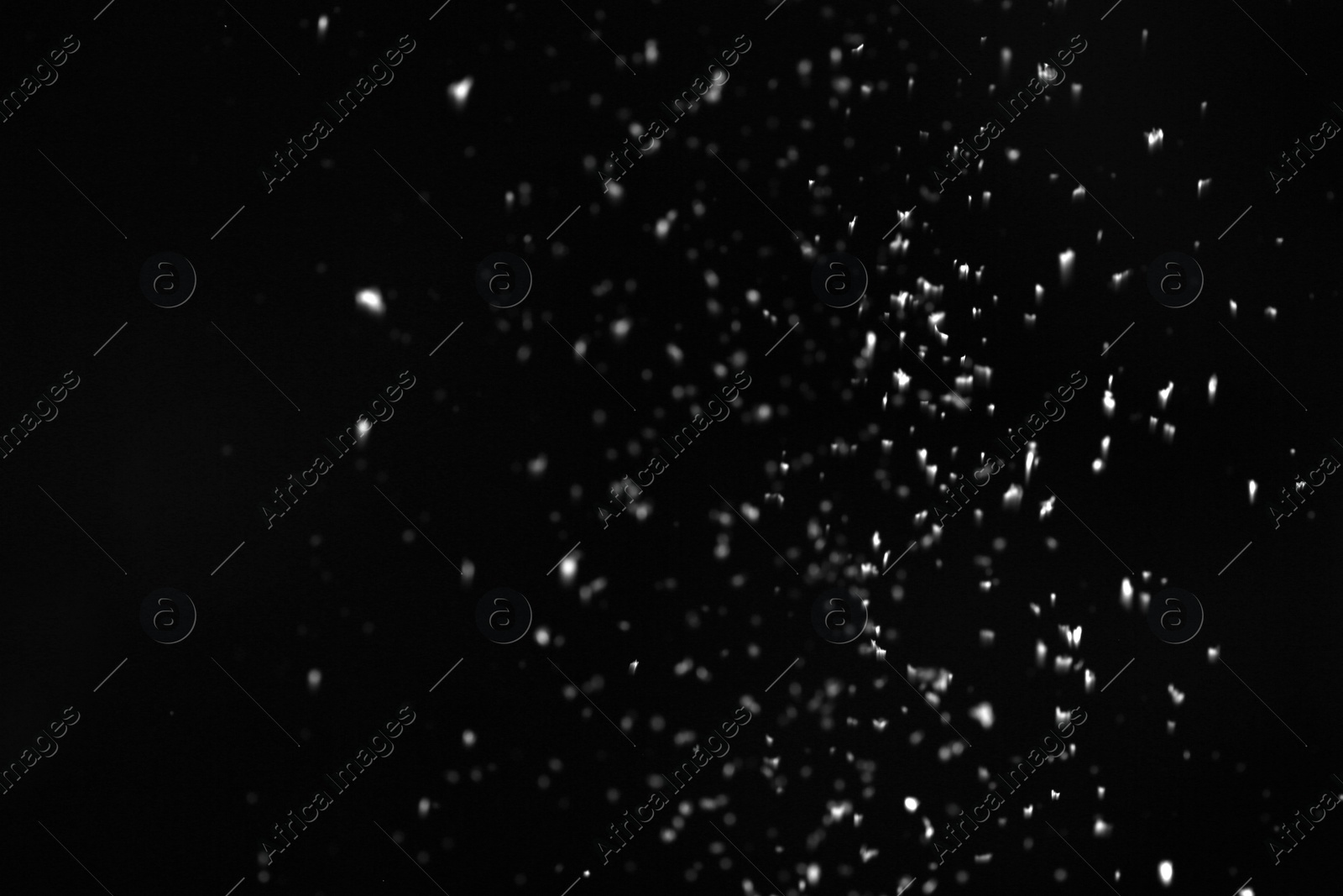 Photo of Snow flakes falling on black background. Winter weather